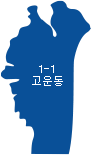 고운동